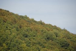 Am Edersee (67)